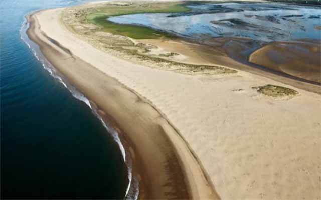 Plages de l'Anse de La Palmyre